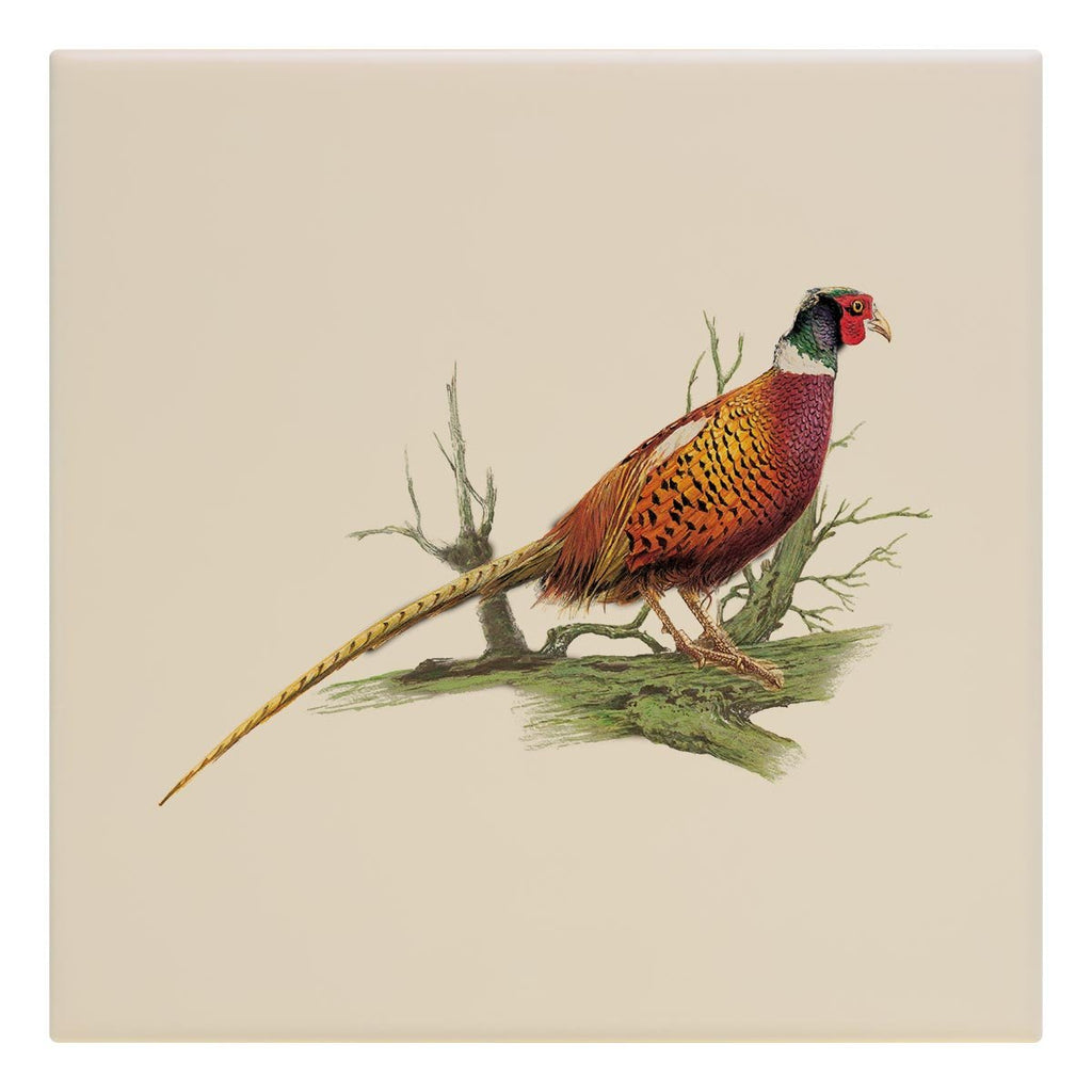 Cock Pheasant on Branch Tile - Countryman John