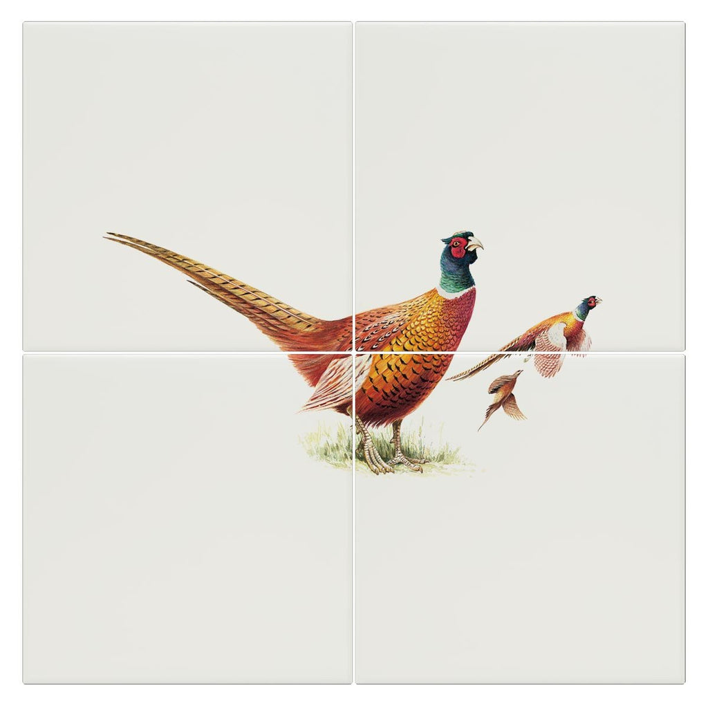 Cock Pheasants Tile - Countryman John