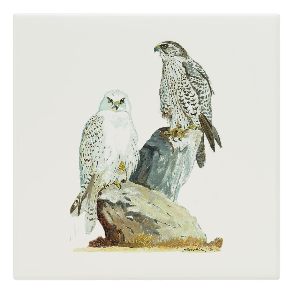Sahar and Gyr Falcons Tile - Countryman John