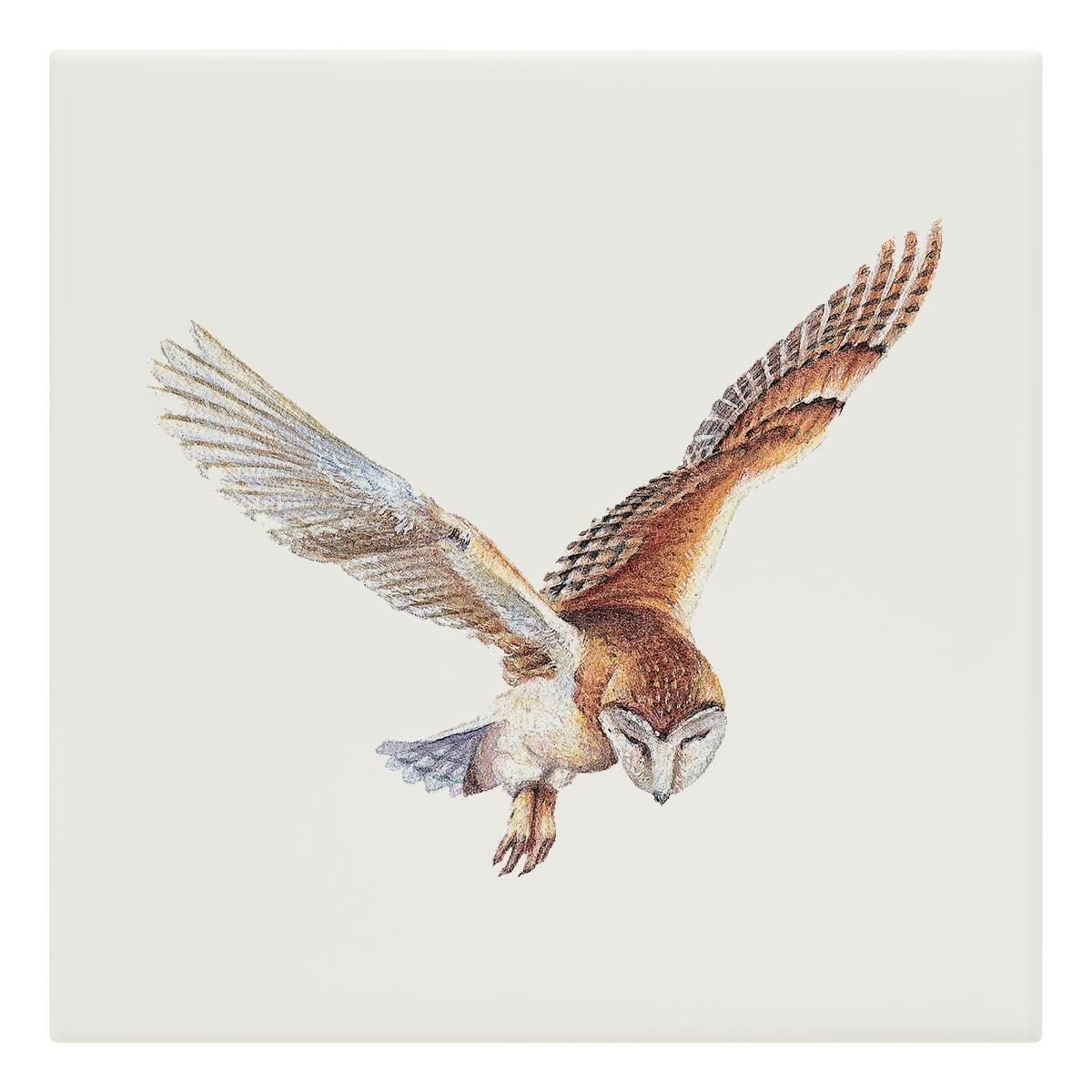 Barn Owl in Flight Tile - Countryman John