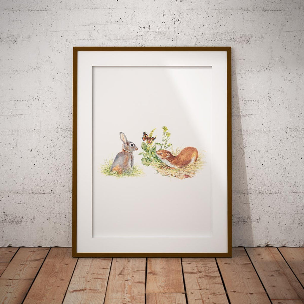 Rabbit and Stoat Wall Art Print - Countryman John