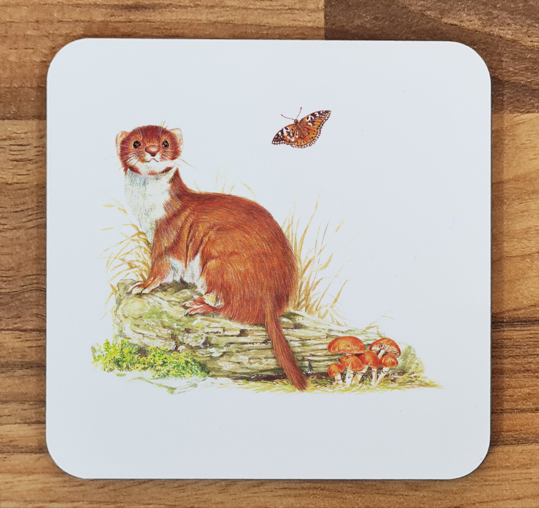 stoat coaster