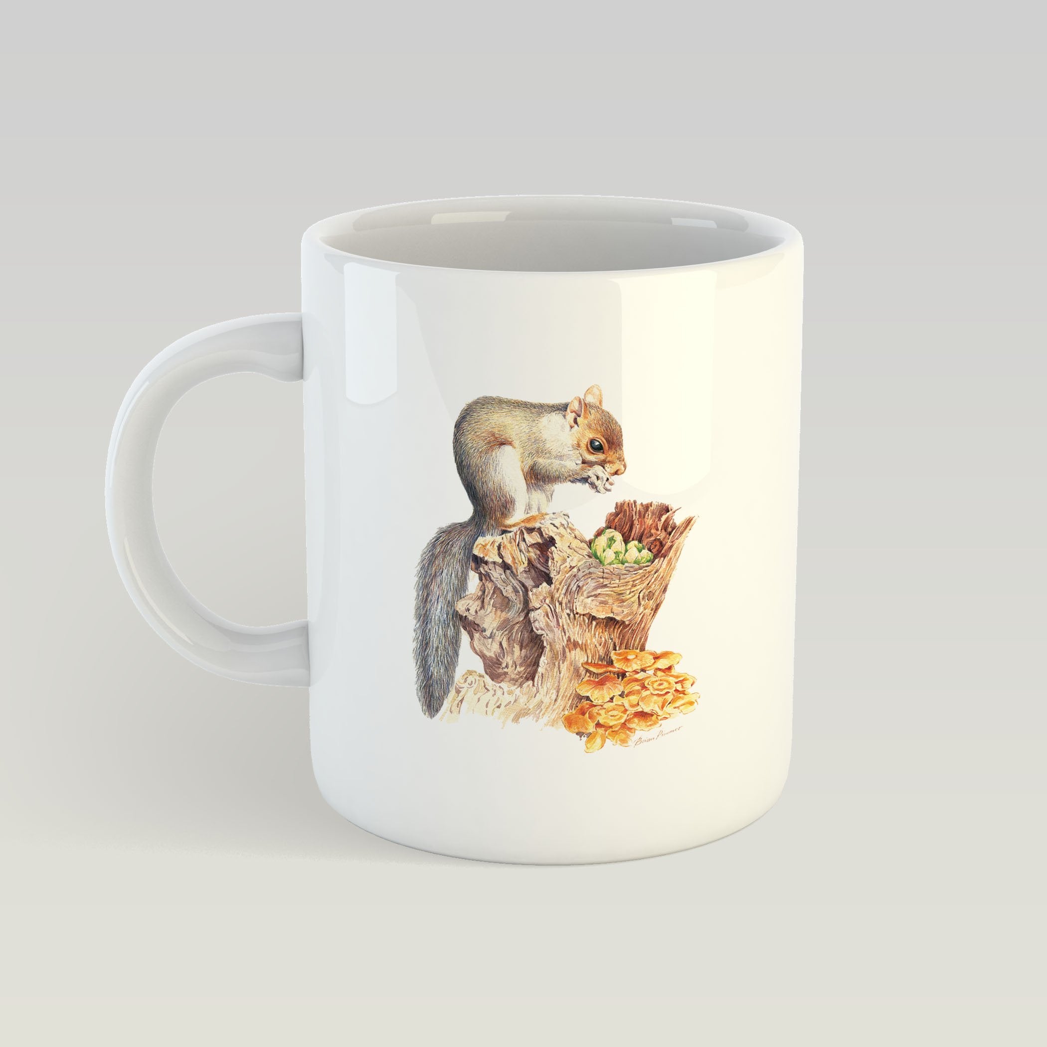 Grey Squirrel Mug - Countryman John