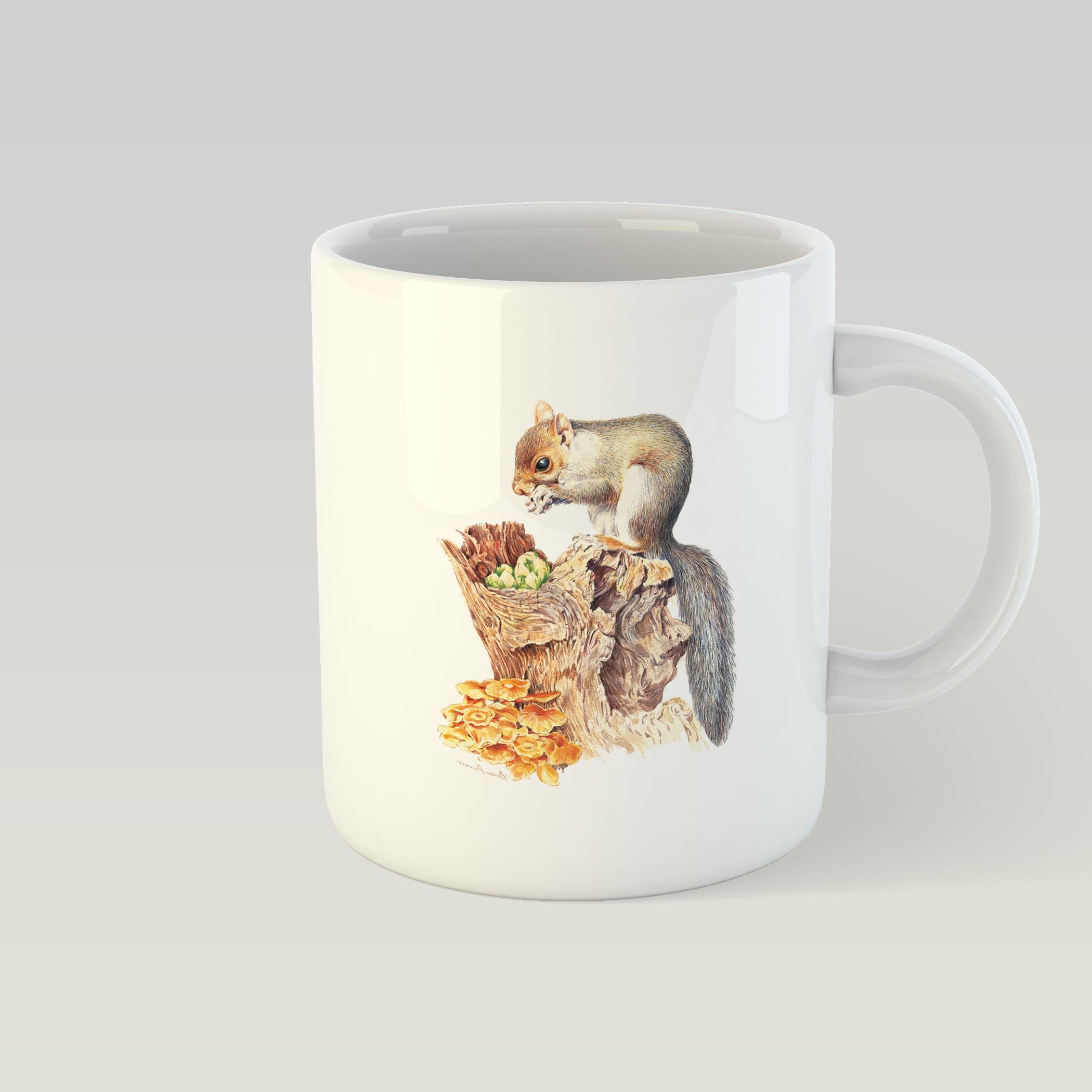 Grey Squirrel Mug - Countryman John