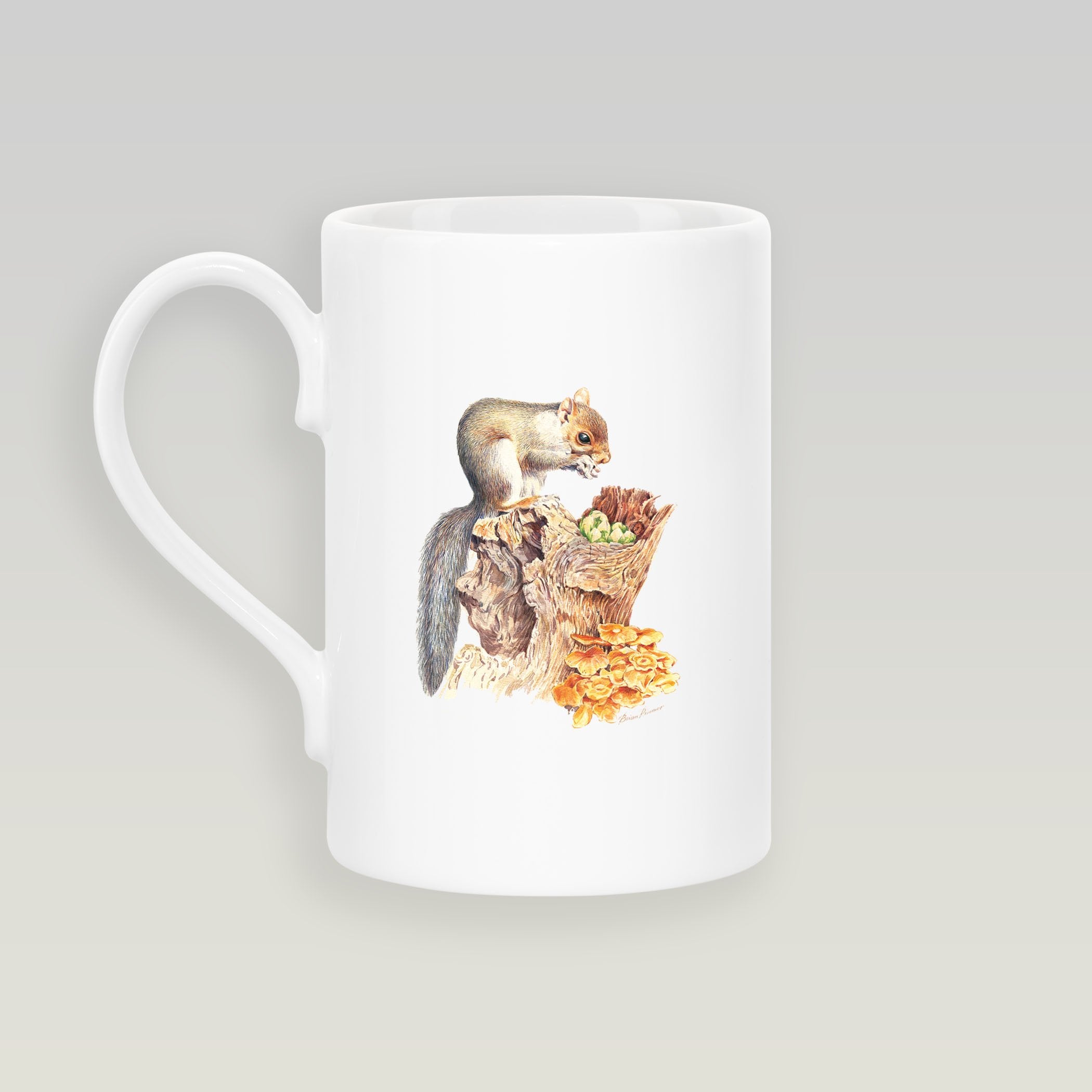 Grey Squirrel Slim Mug - Countryman John