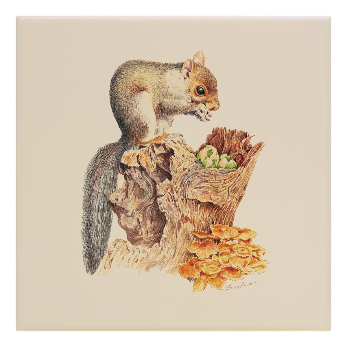 Grey Squirrel Tile - Countryman John
