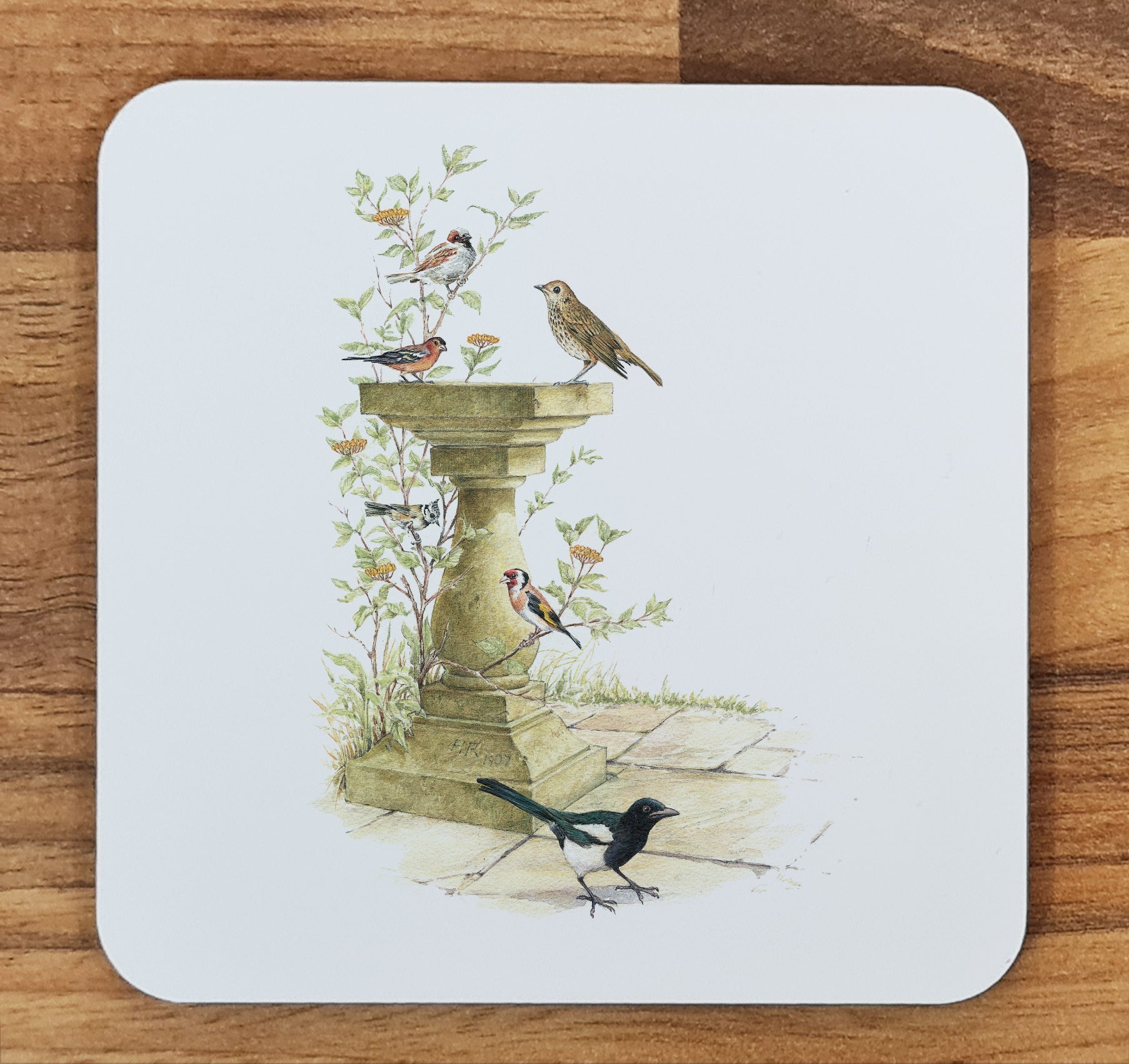 bird coaster