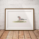 Jay Wall Art Print - Countryman John