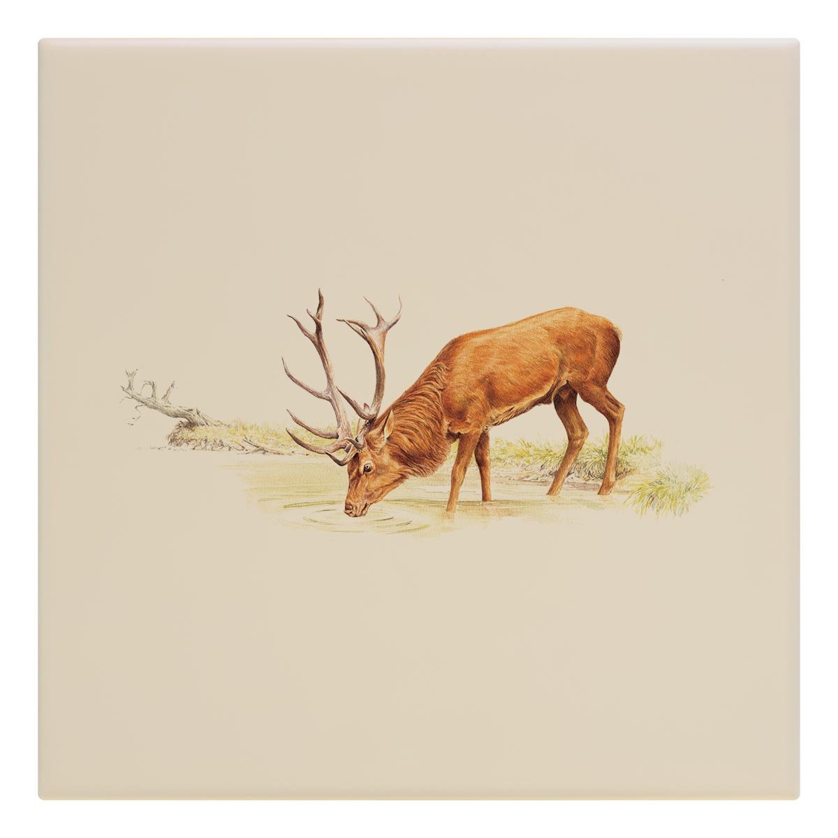 Drinking Red Stag Tile - Countryman John