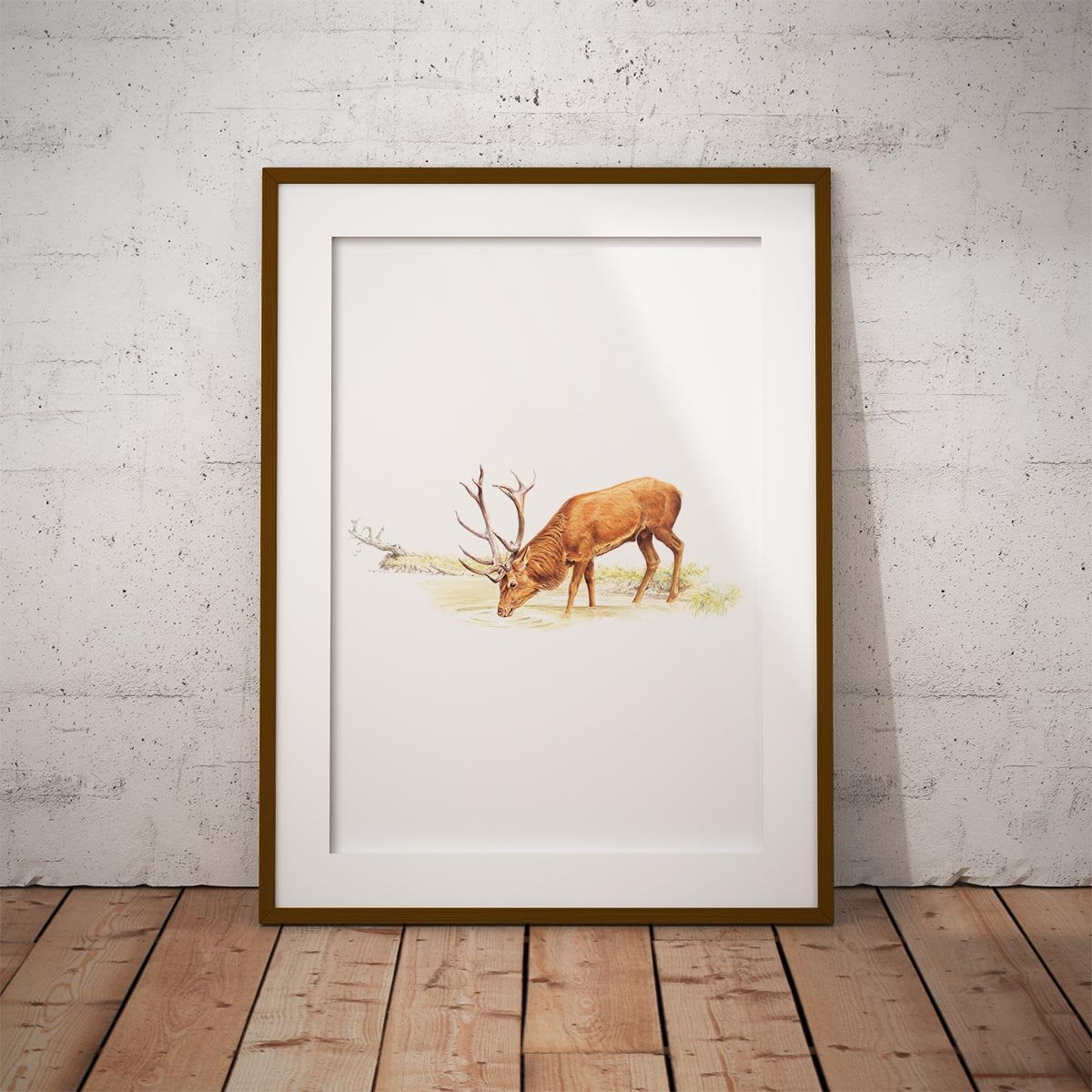 Drinking Red Stag Wall Art Print - Countryman John