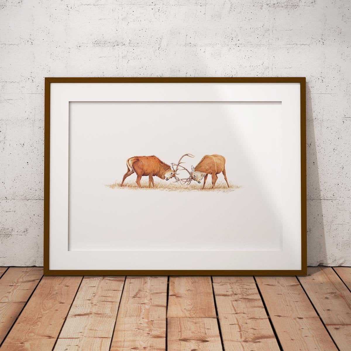 Duelling Stags Wall Art Print - Countryman John