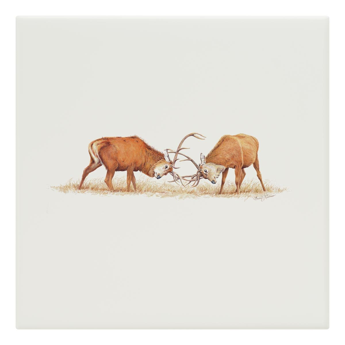 Duelling Stags Tile - Countryman John