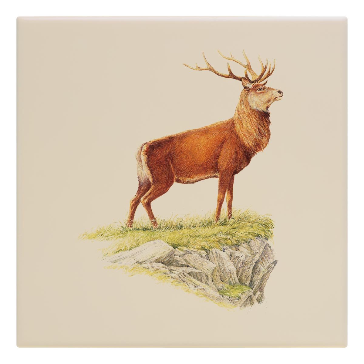 Glorious Stag Tile - Countryman John