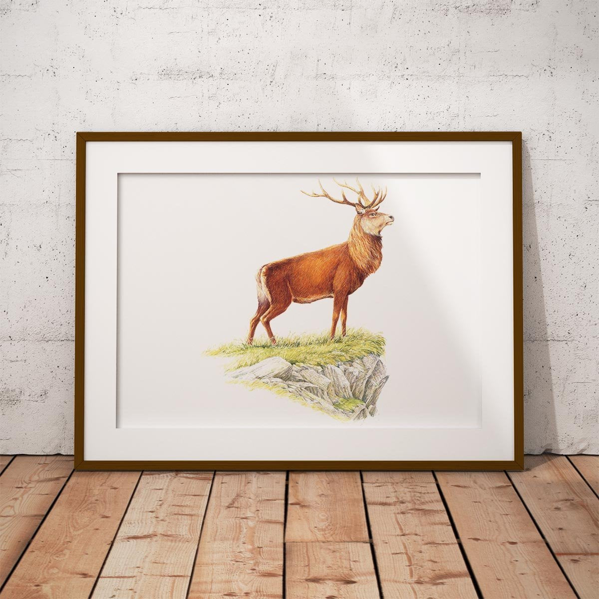 Glorious Stag Wall Art Print - Countryman John