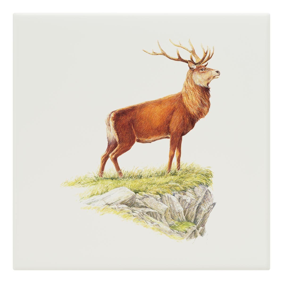 Glorious Stag Tile - Countryman John