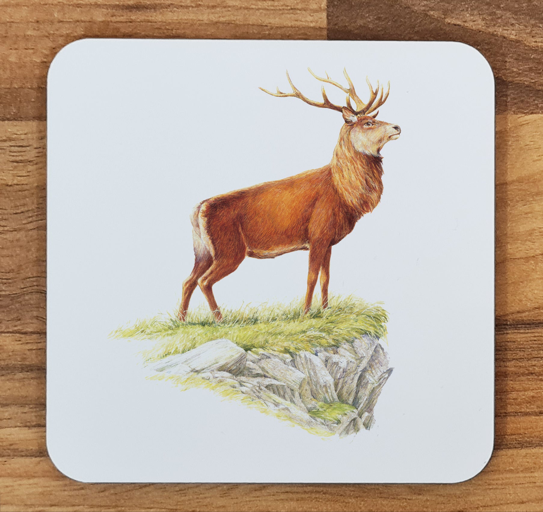 deer coaster