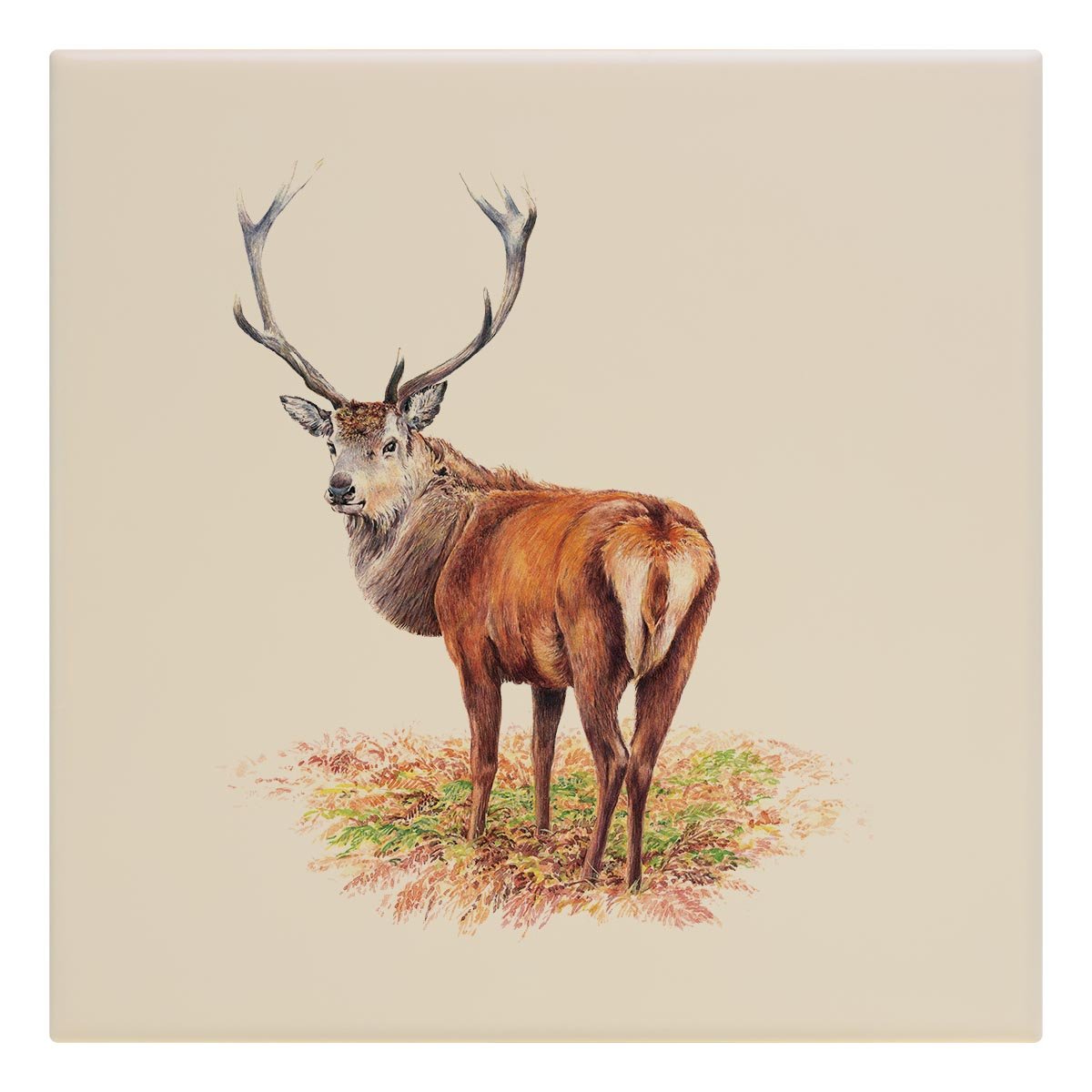 Proud Red Stag Tile - Countryman John