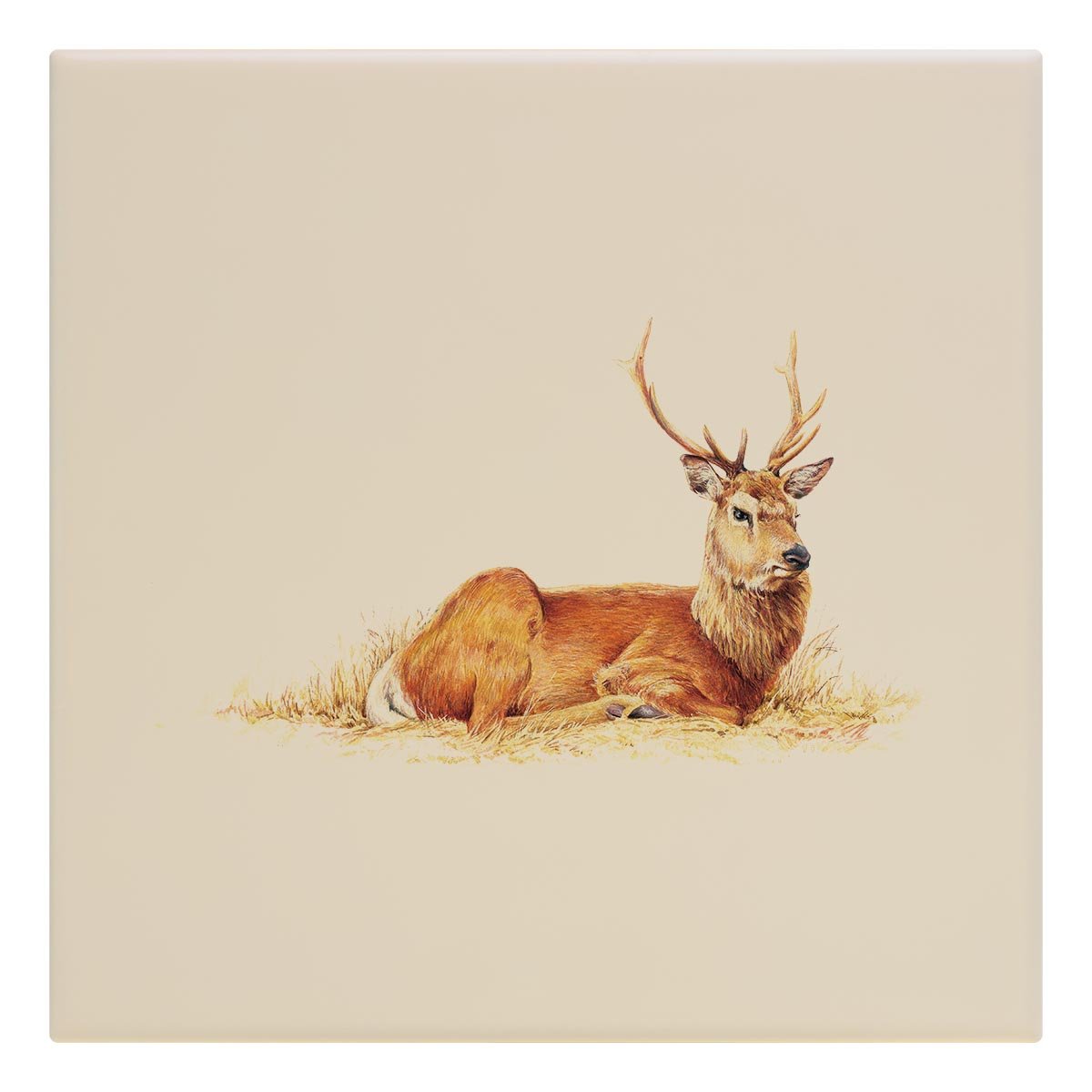 Resting Stag Tile - Countryman John