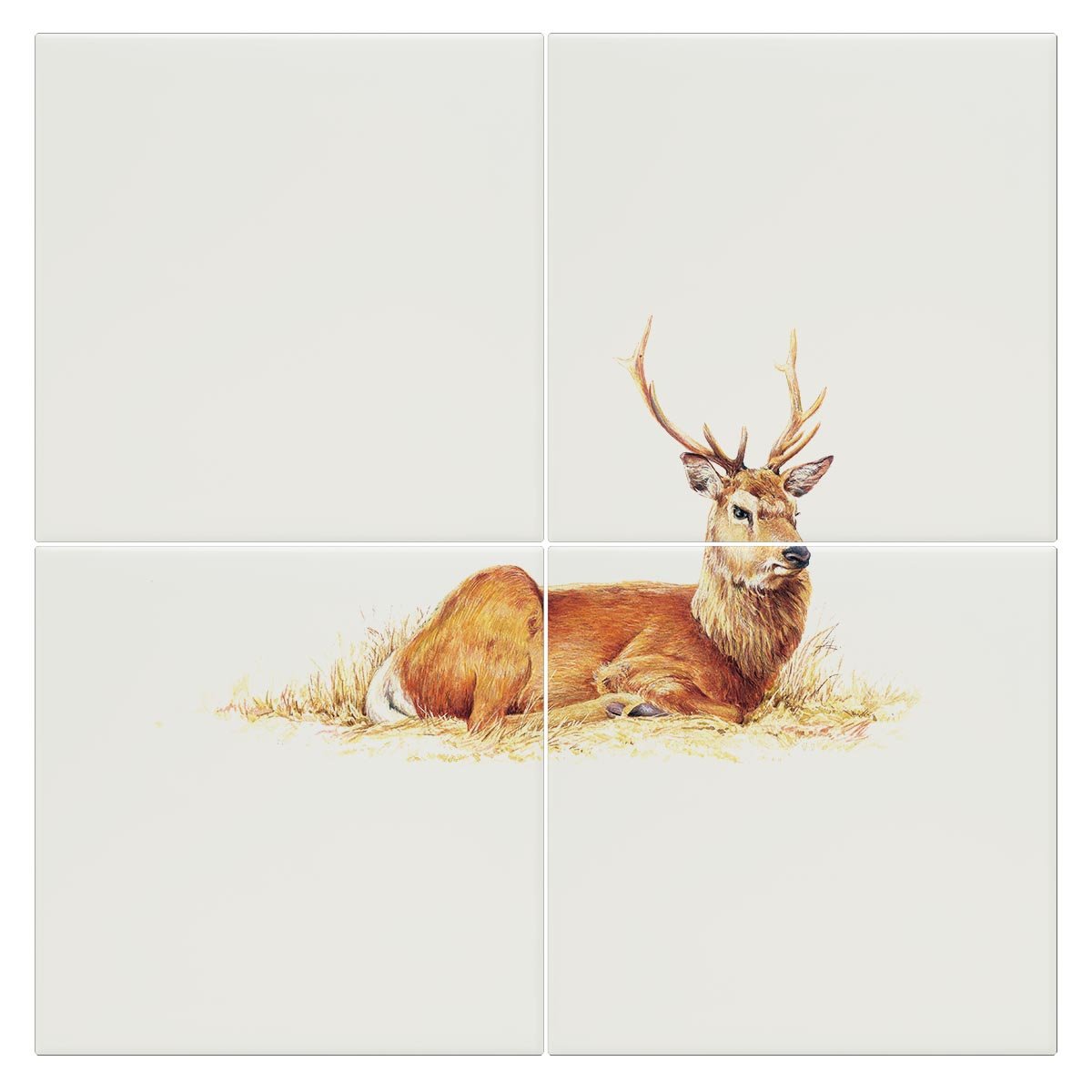 Resting Stag Tile - Countryman John