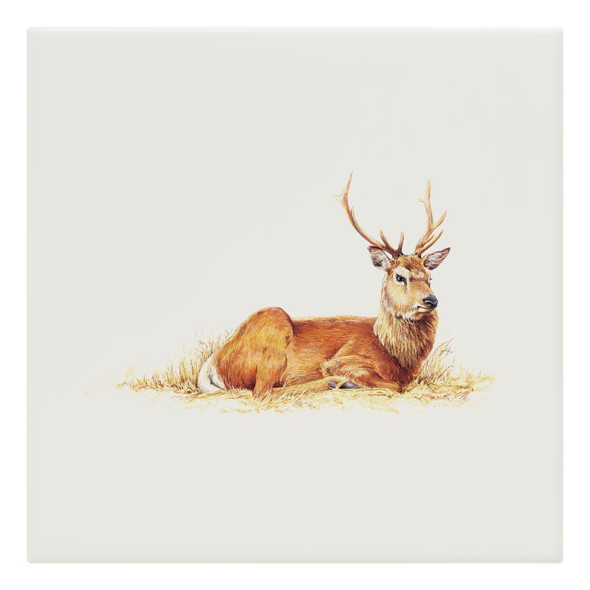 Resting Stag Tile - Countryman John