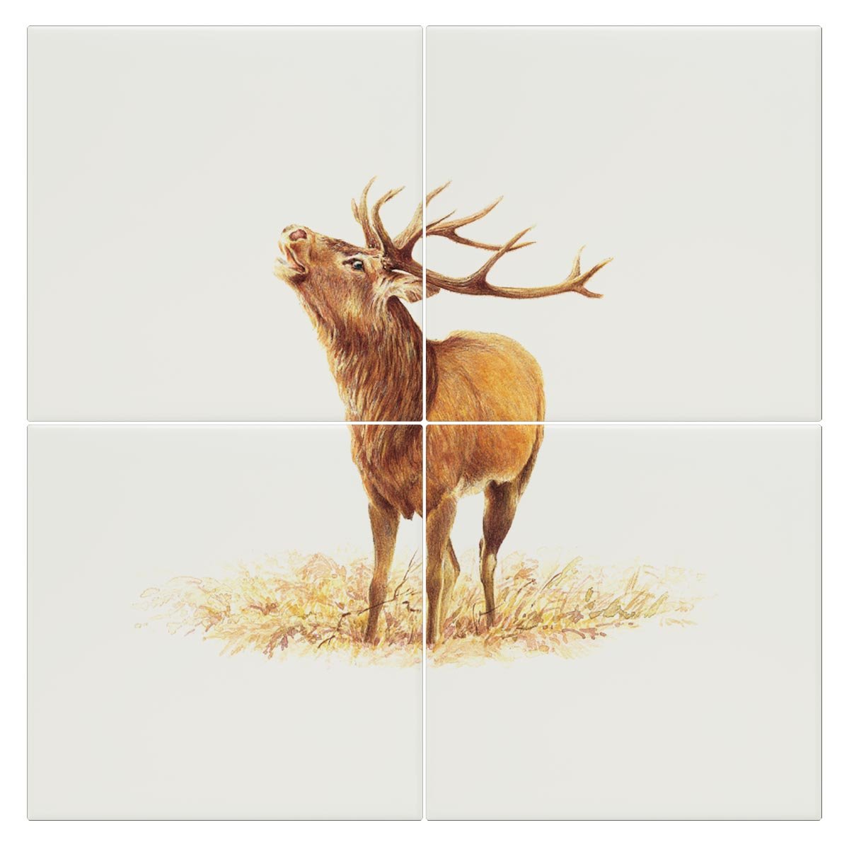 Roaring Stag Tile - Countryman John