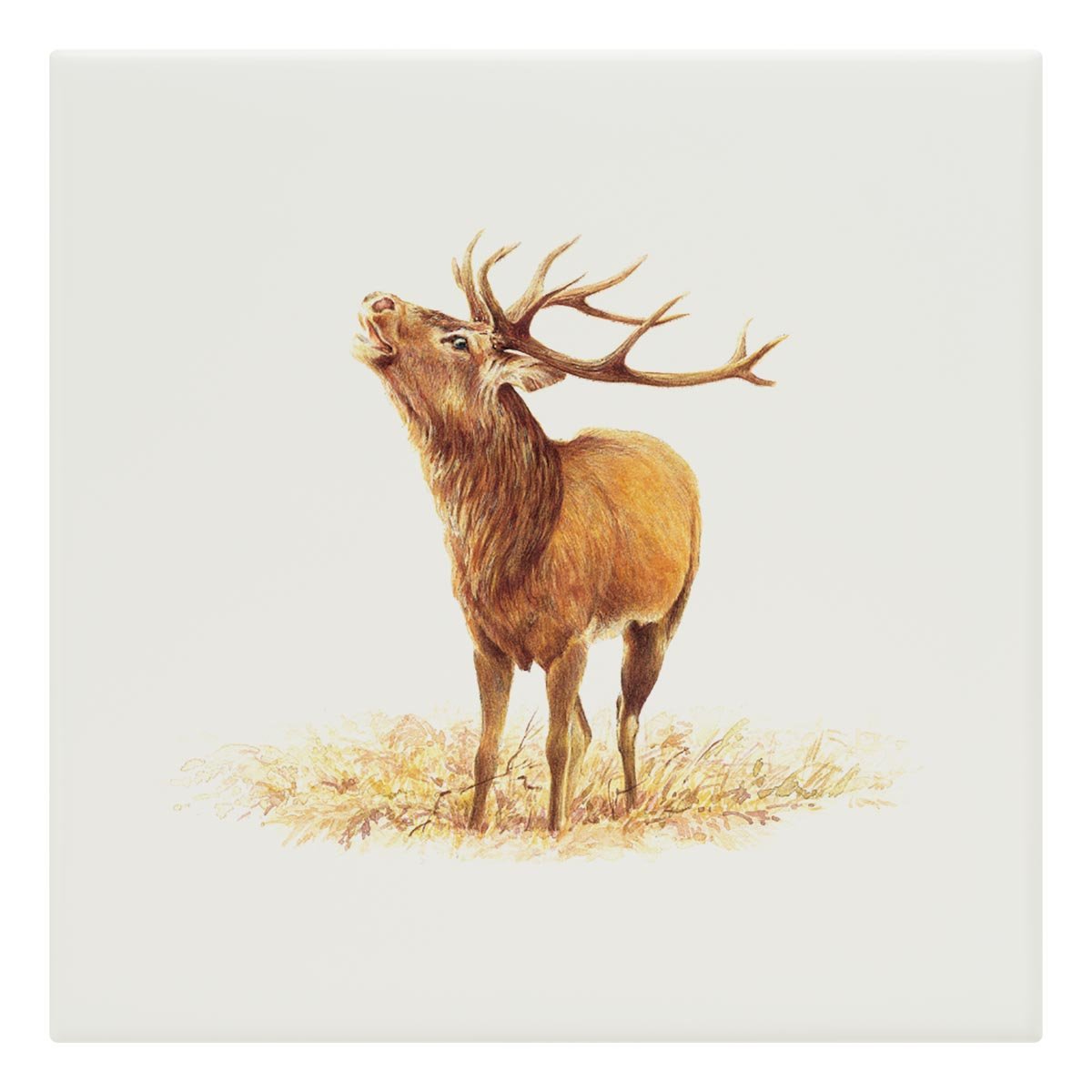 Roaring Stag Tile - Countryman John