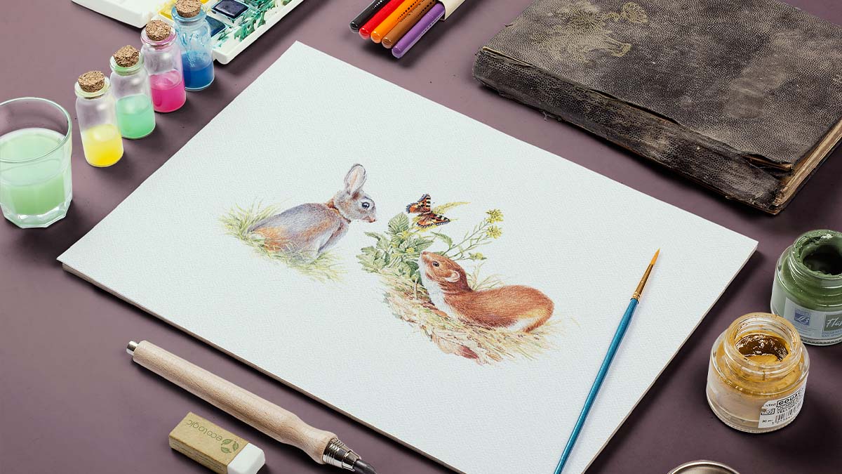 Rabbits / Hares / Weasels / Stoats