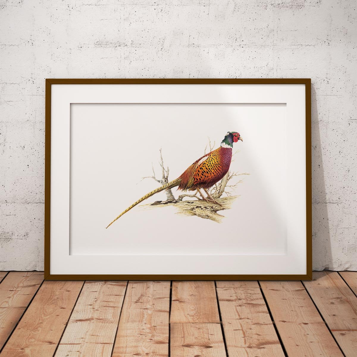 Cock Pheasant Wall Art Print - Countryman John