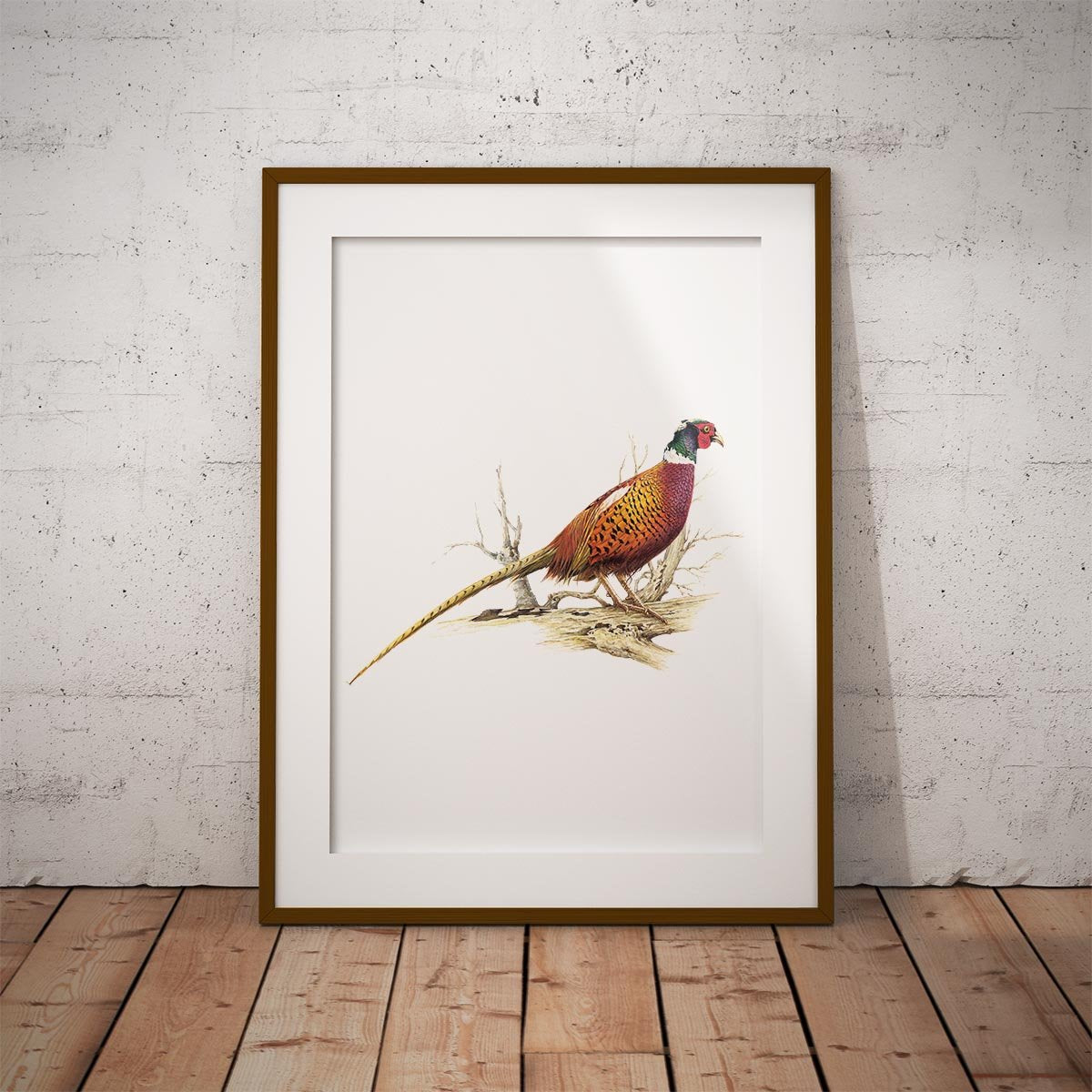 Cock Pheasant Wall Art Print - Countryman John