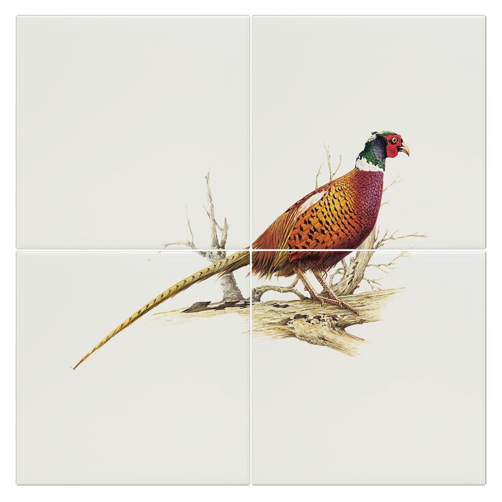 Cock Pheasant Tile - Countryman John