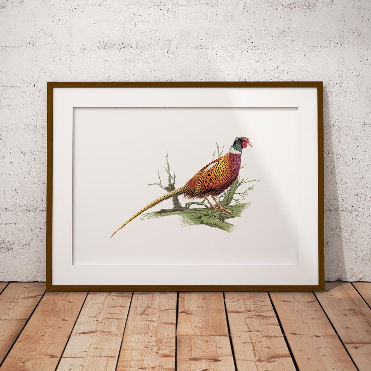 Cock Pheasant on Branch Wall Art Print - Countryman John