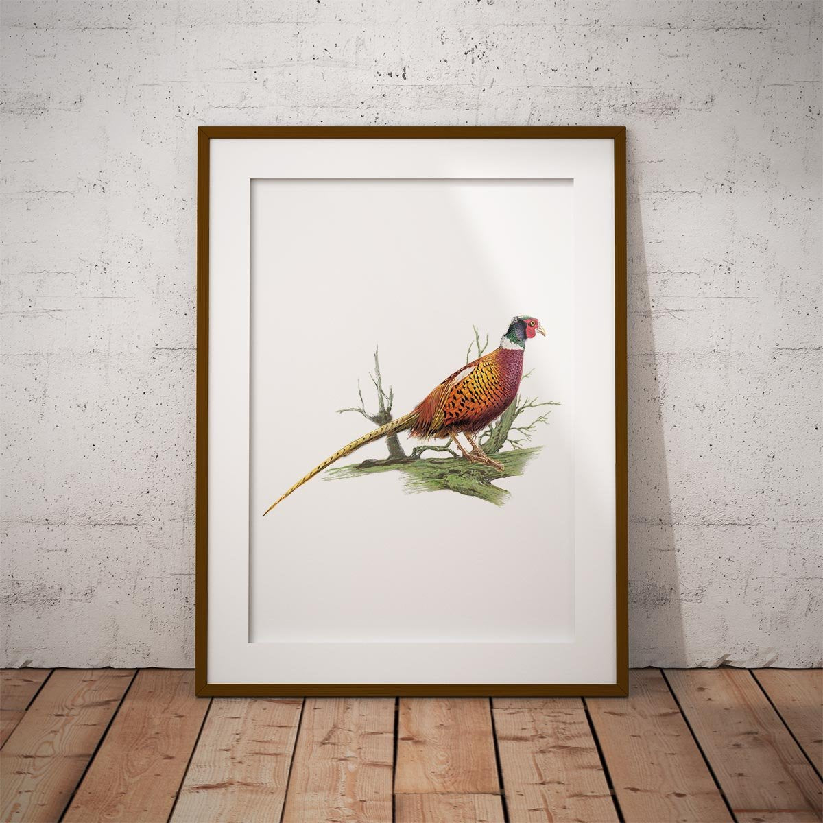 Cock Pheasant on Branch Wall Art Print - Countryman John