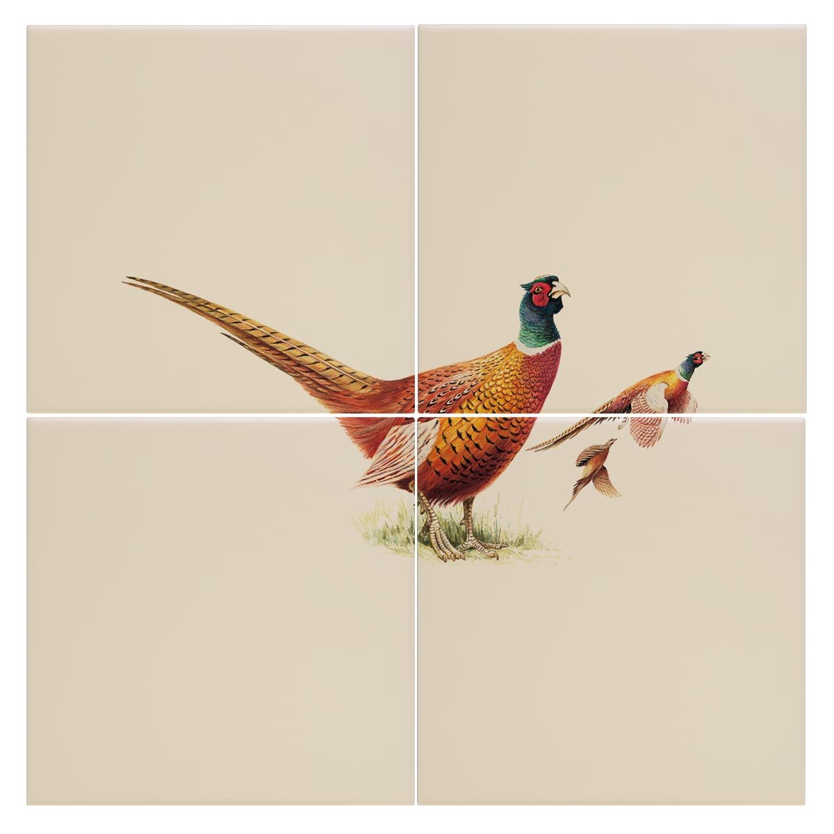 Cock Pheasants Tile - Countryman John