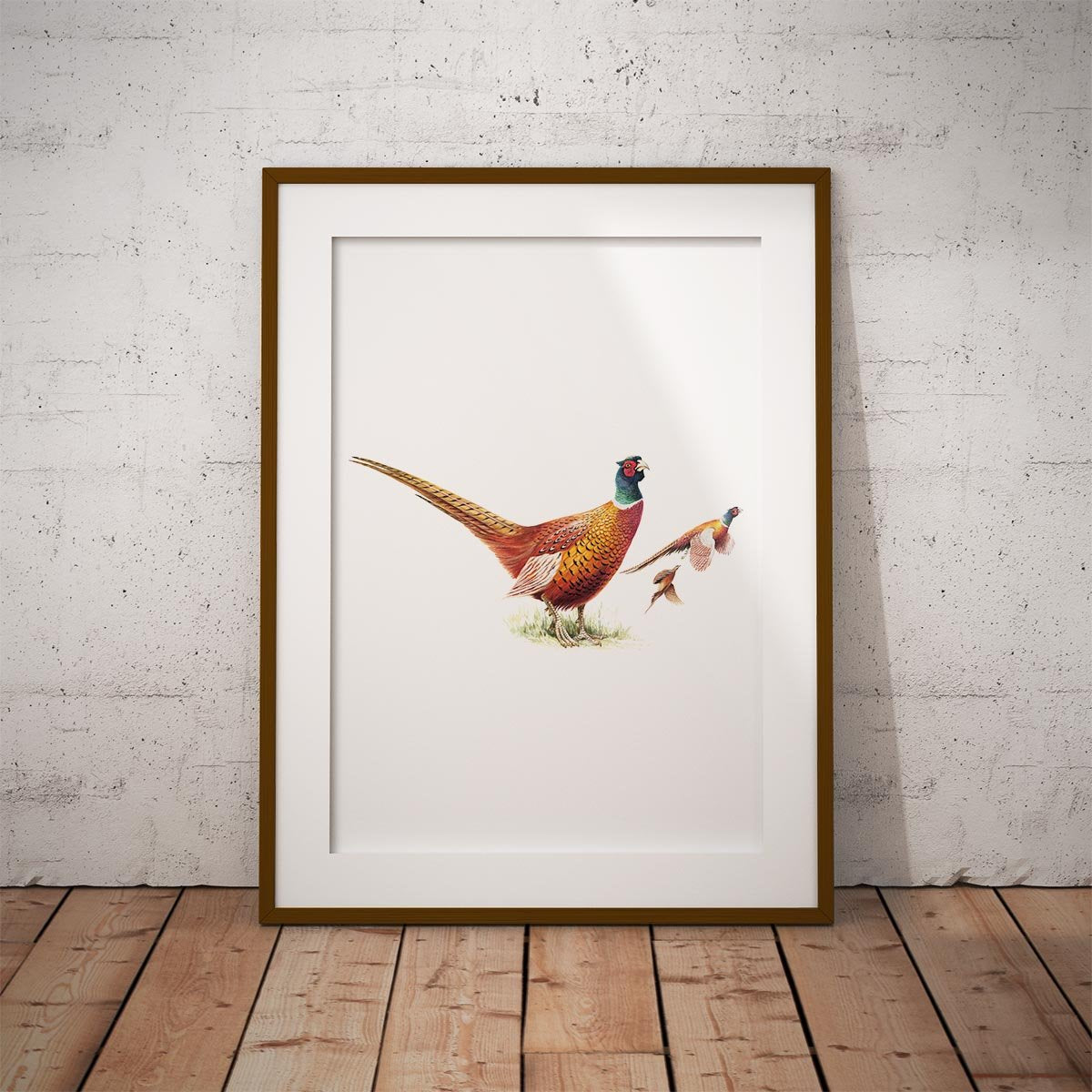 Cock Pheasants Wall Art Print - Countryman John