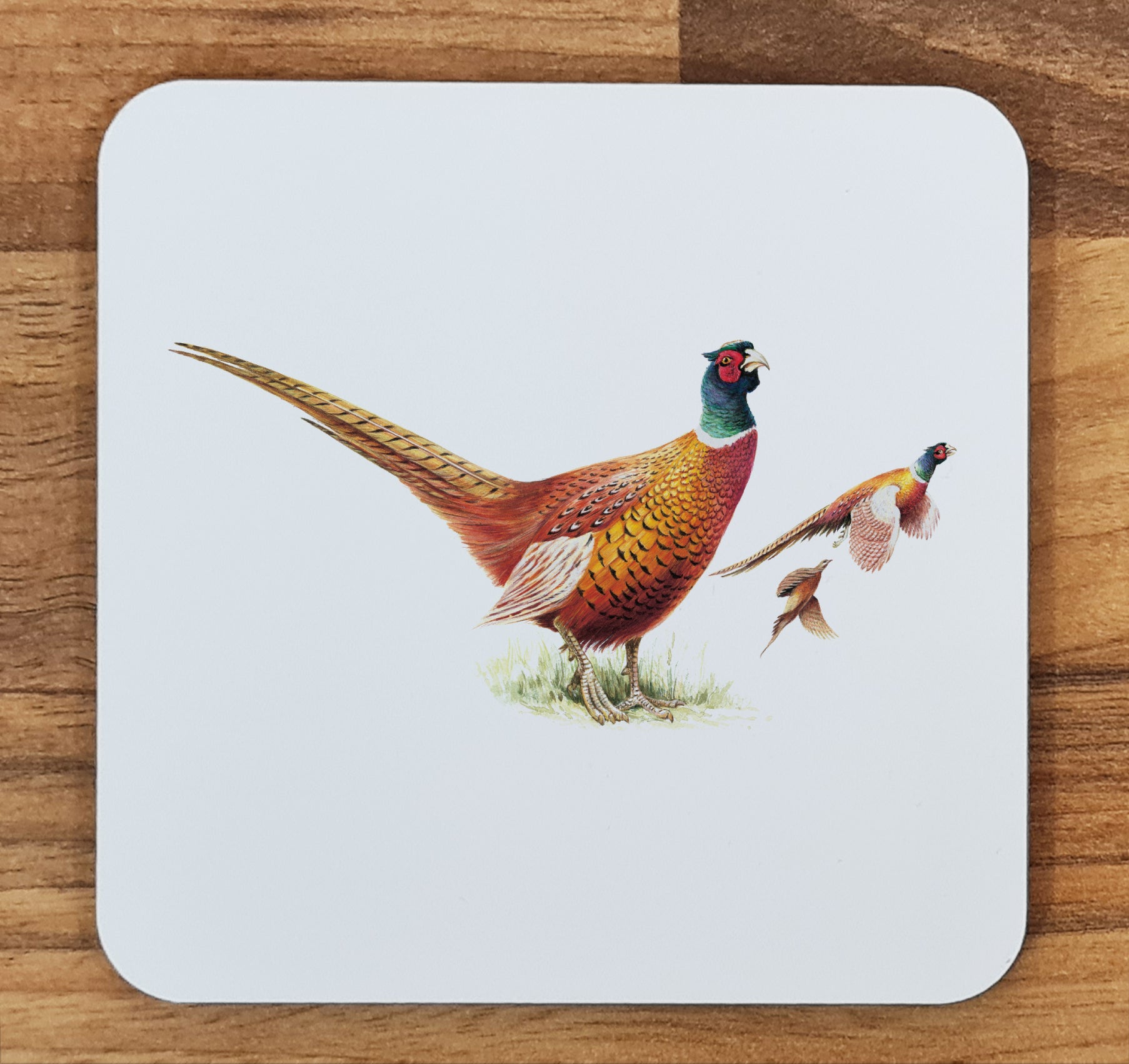 pheasant coaster