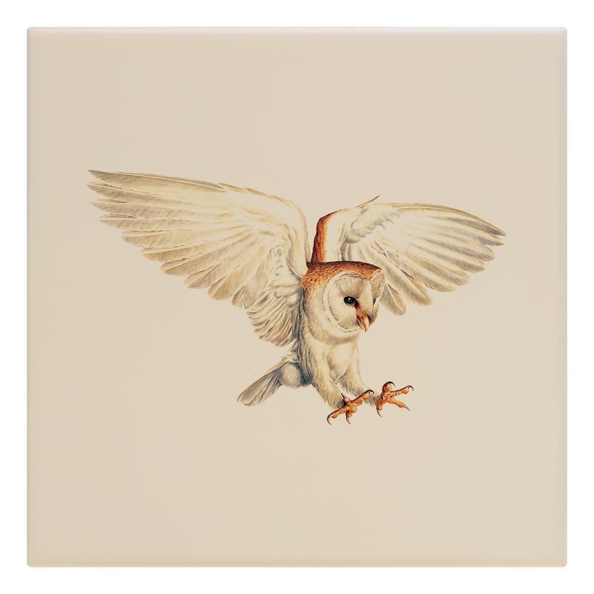 Barn Owl Tile - Countryman John