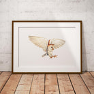 Barn Owl Wall Art Print - Countryman John