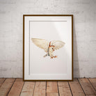 Barn Owl Wall Art Print - Countryman John