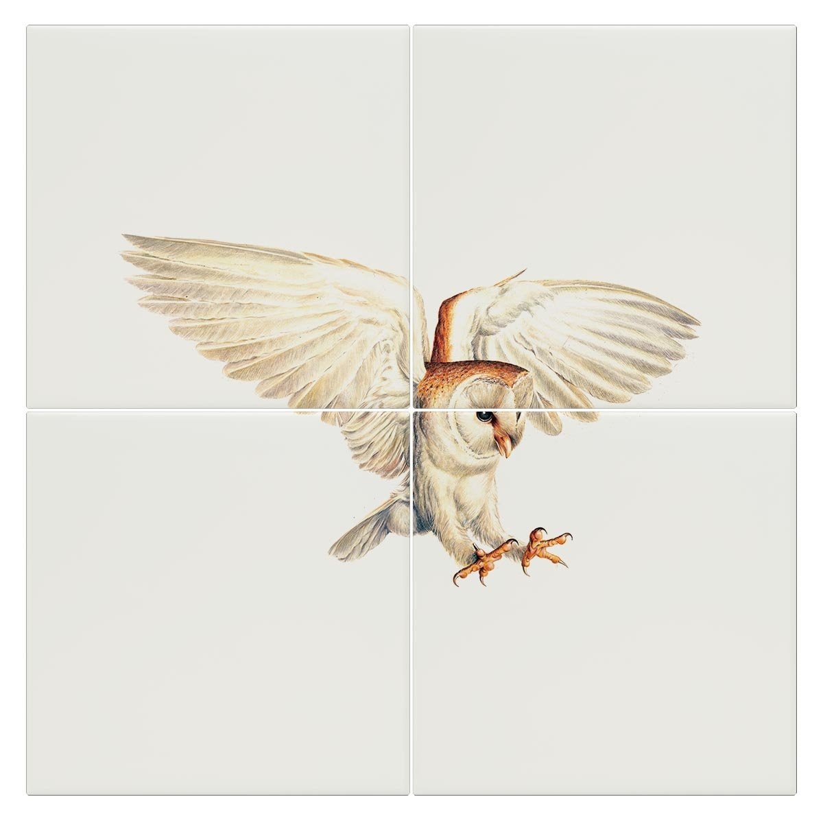 Barn Owl Tile - Countryman John