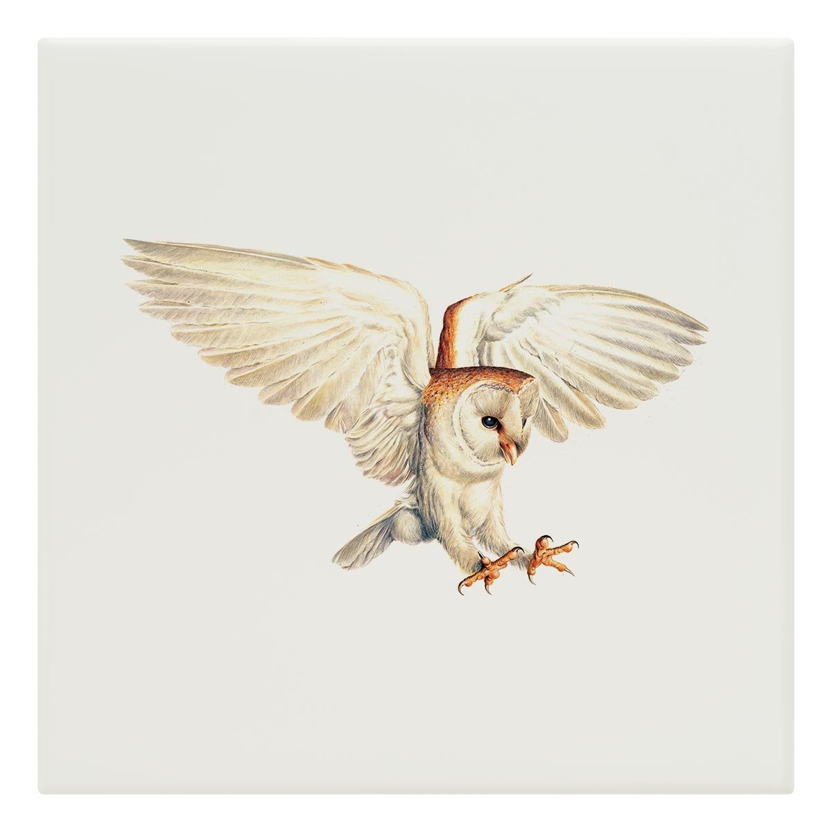 Barn Owl Tile - Countryman John