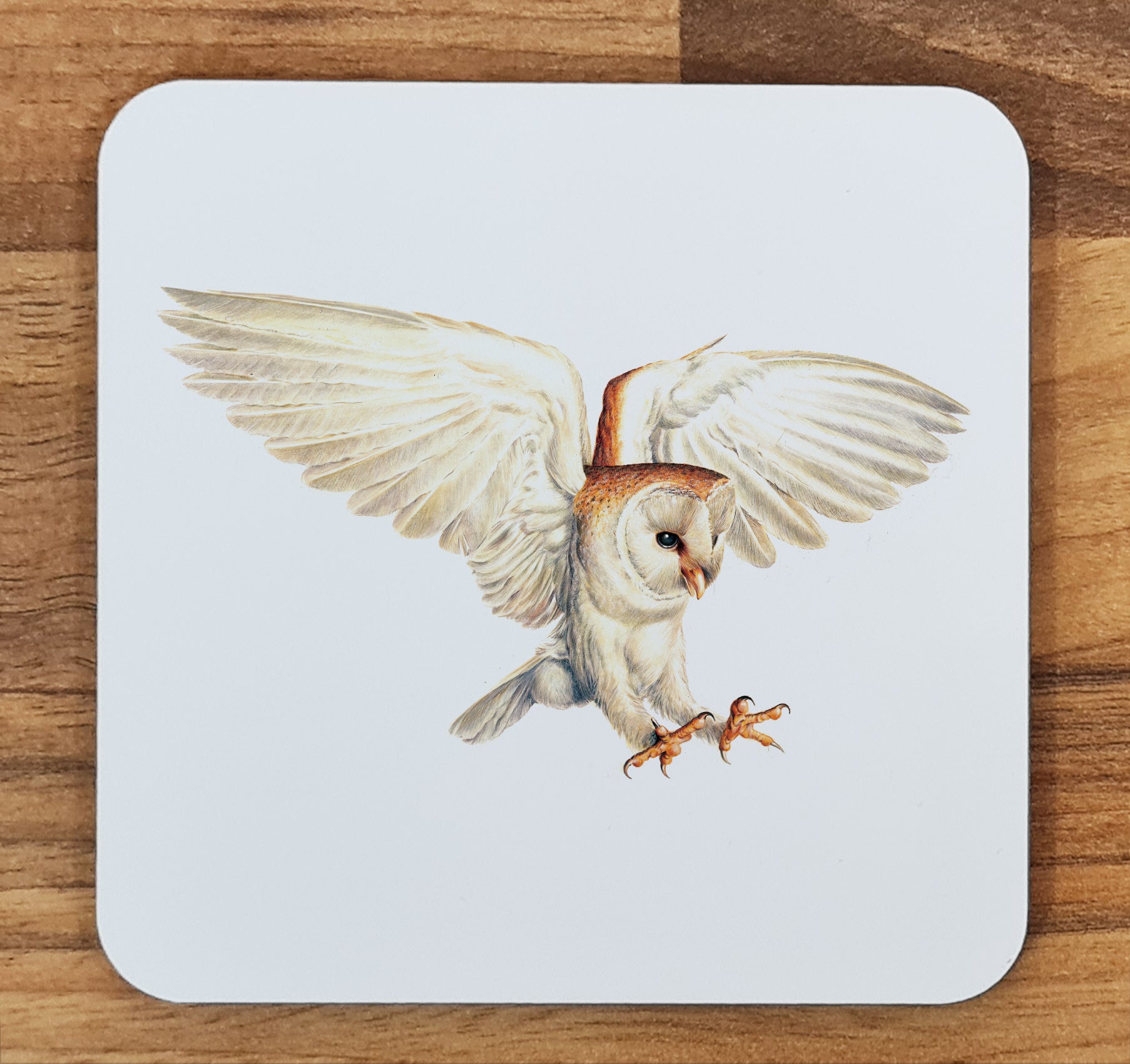 barn owl coaster