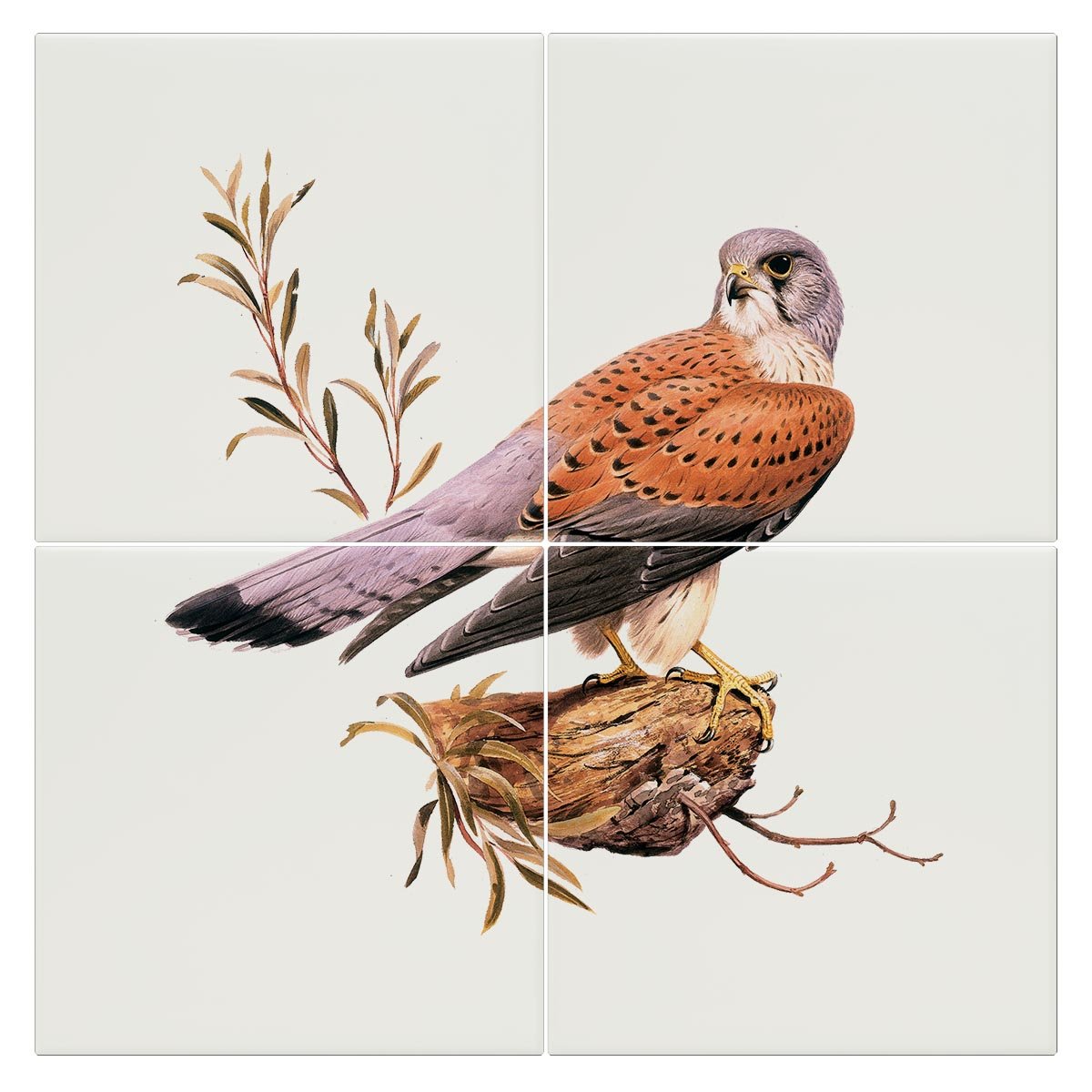 Kestrel Tile - Countryman John