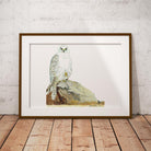 Gyr Falcon Wall Art Print - Countryman John