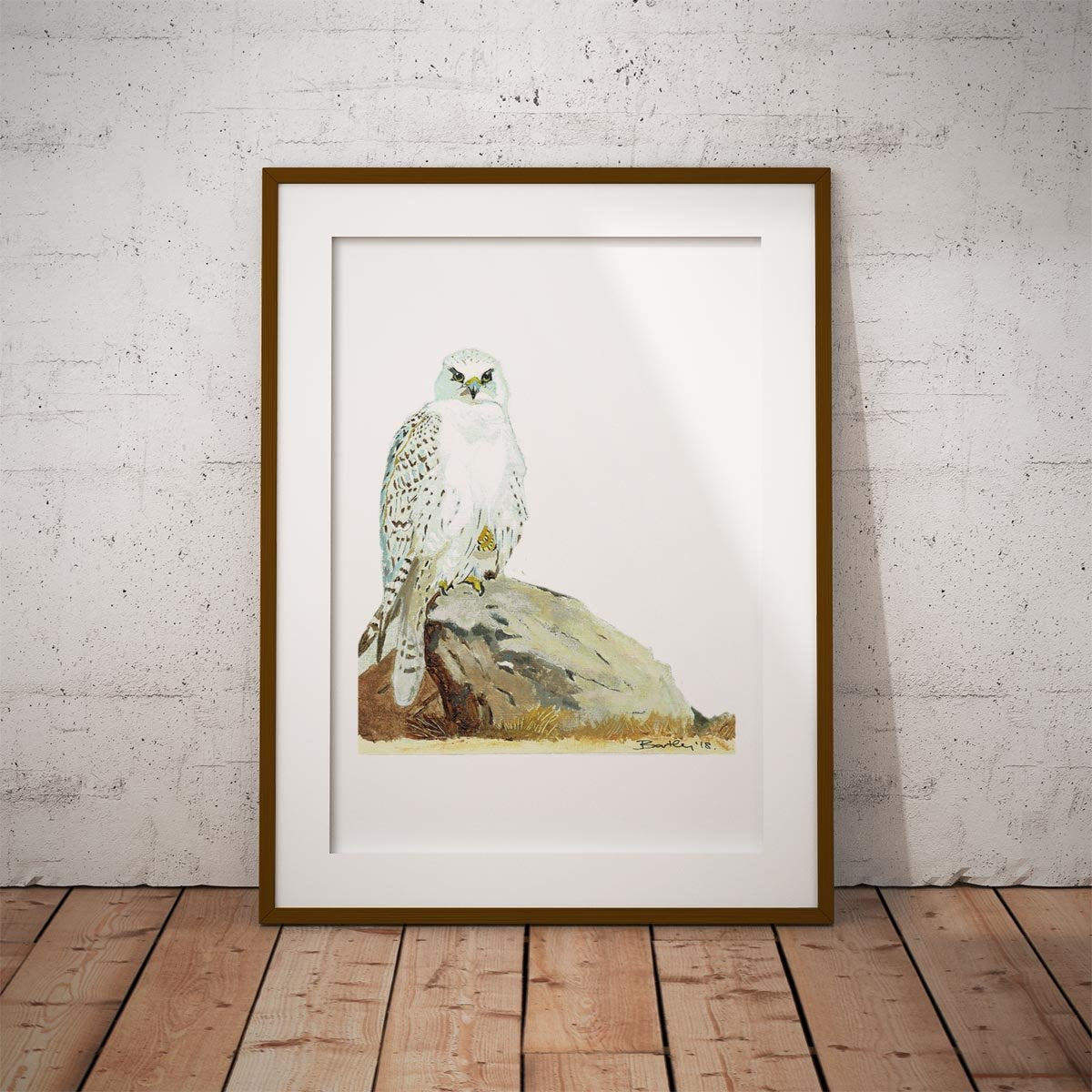 Gyr Falcon Wall Art Print - Countryman John