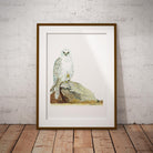 Gyr Falcon Wall Art Print - Countryman John