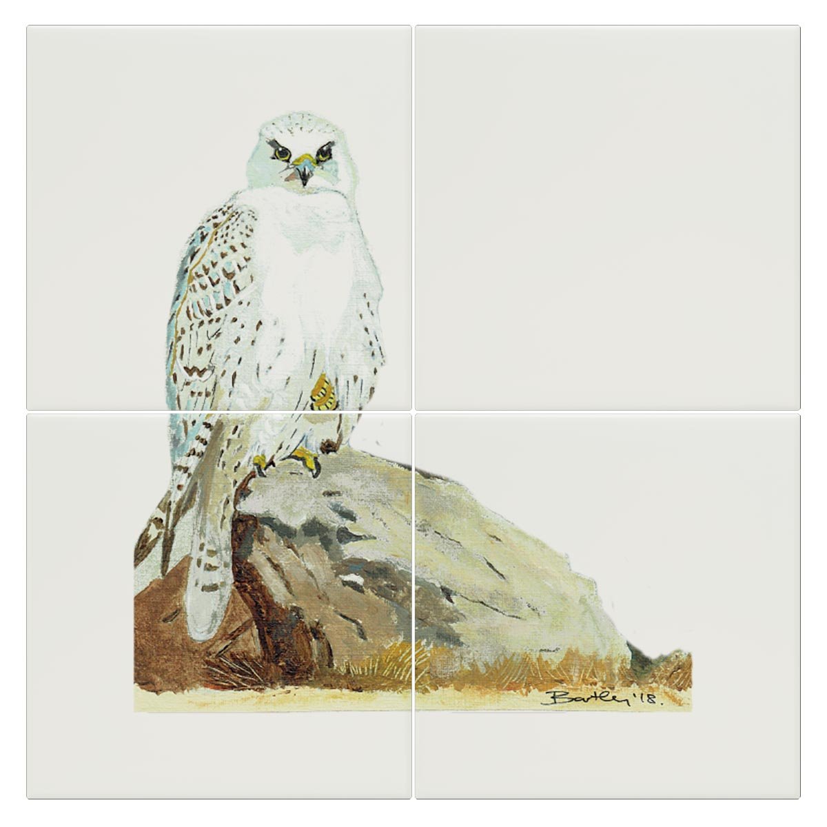 Gyr Falcon Tile - Countryman John