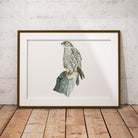 Sahar Falcon Wall Art Print - Countryman John