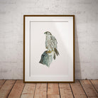 Sahar Falcon Wall Art Print - Countryman John