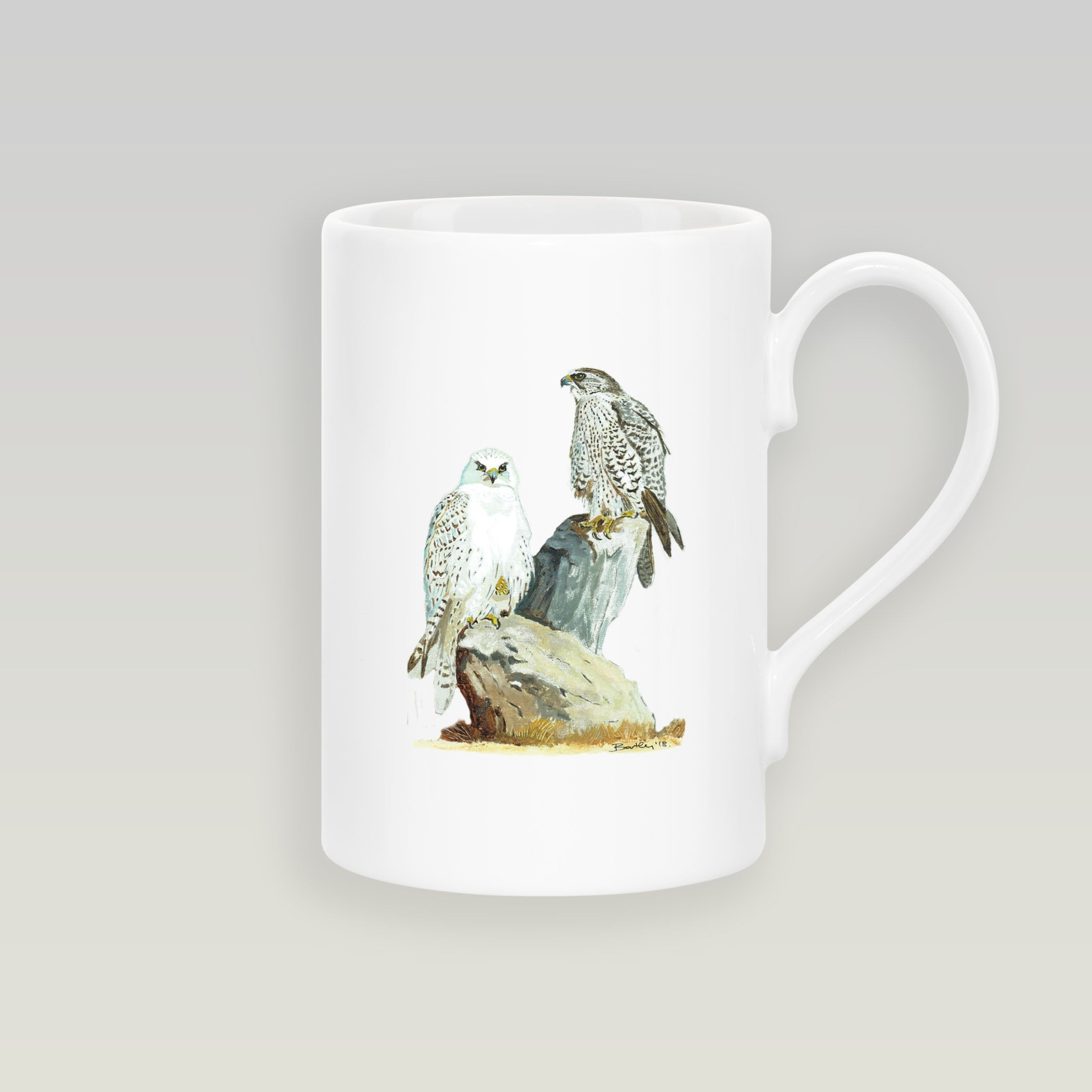 Sahar and Gyr Falcons Slim Mug - Countryman John