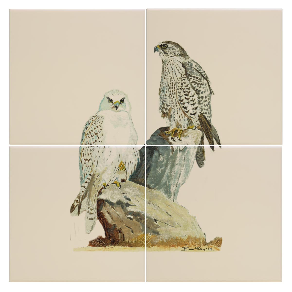 Sahar and Gyr Falcons Tile - Countryman John